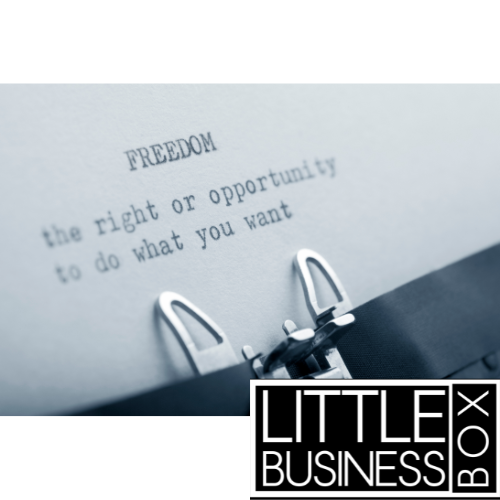 The Freedom Paradox: Building a Business That Runs Without You